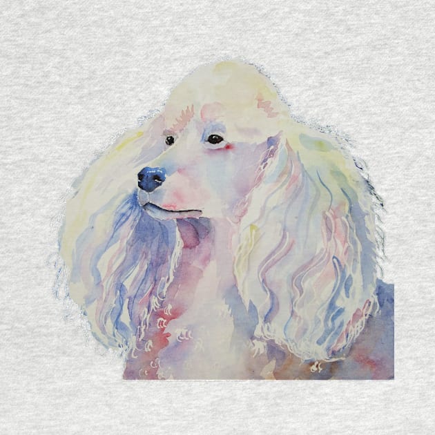 Poodle - standard - white by doggyshop